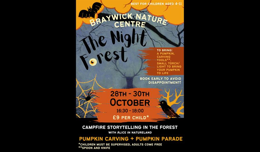 The Night Forest poster - BNC