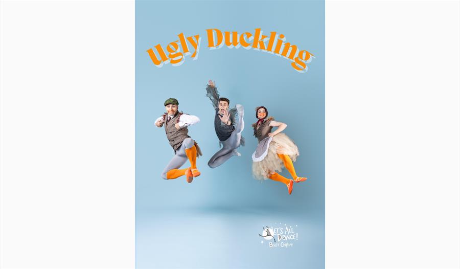 The Ugly Duckling