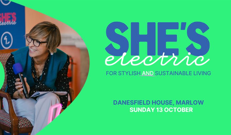 She's Electric Graphic, with picture of speaker and details