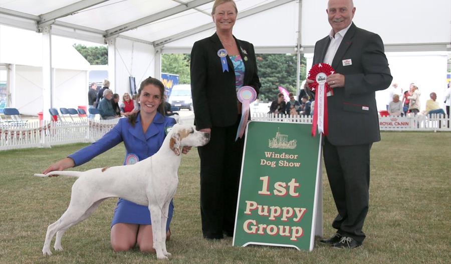 Uk Championship Dog Shows 2025