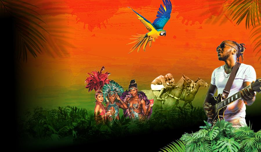 Rum & Reggae Racenight