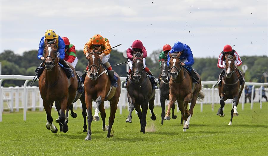Racing at Windsor