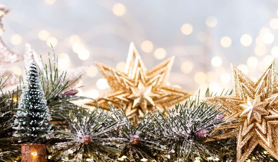 Christmas Tree Festival