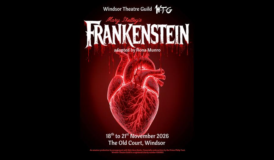 Mary Shelley's Frankenstein - The Old Court - graphic