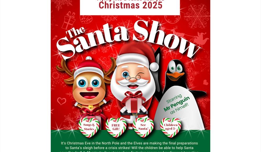 The Santa Show