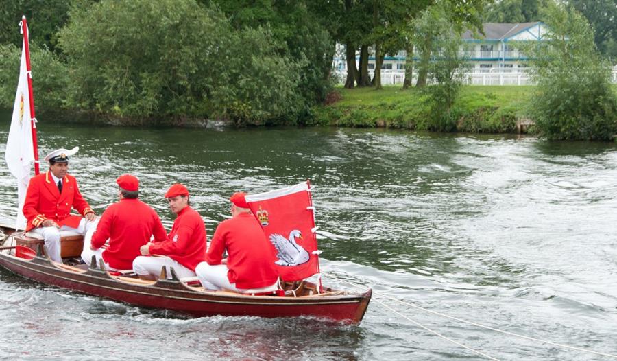 The King's Swan Marker and the accompanying Swan Uppers on the River Thames at Windsor