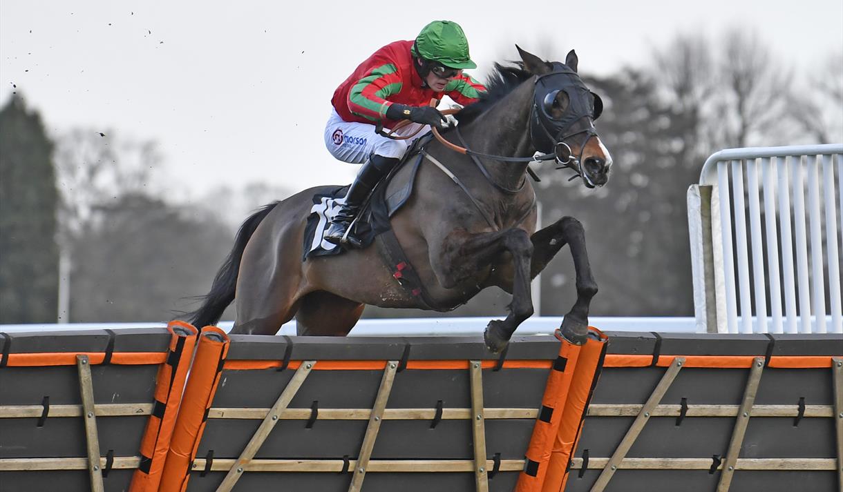 Betfair Ascot Chase Raceday