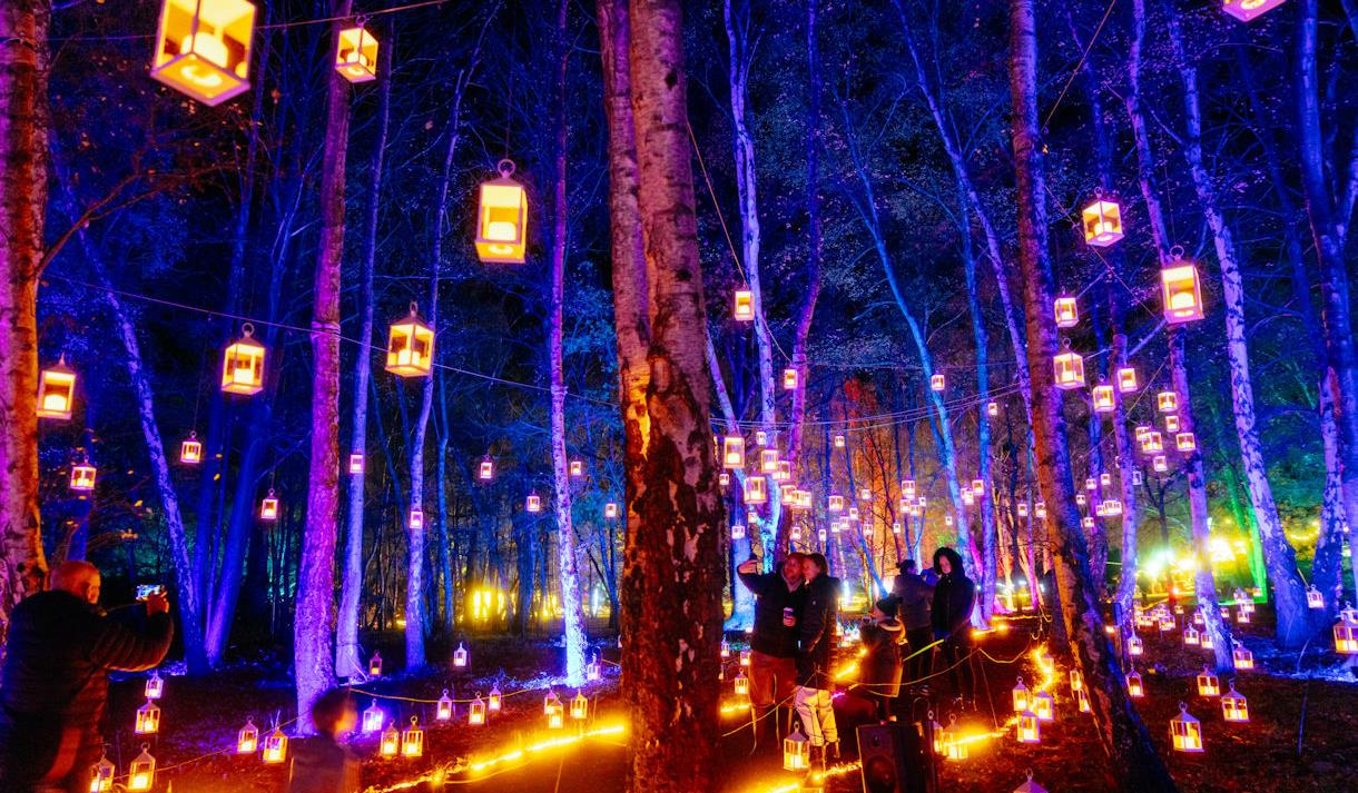 Windsor Great Park Illuminated