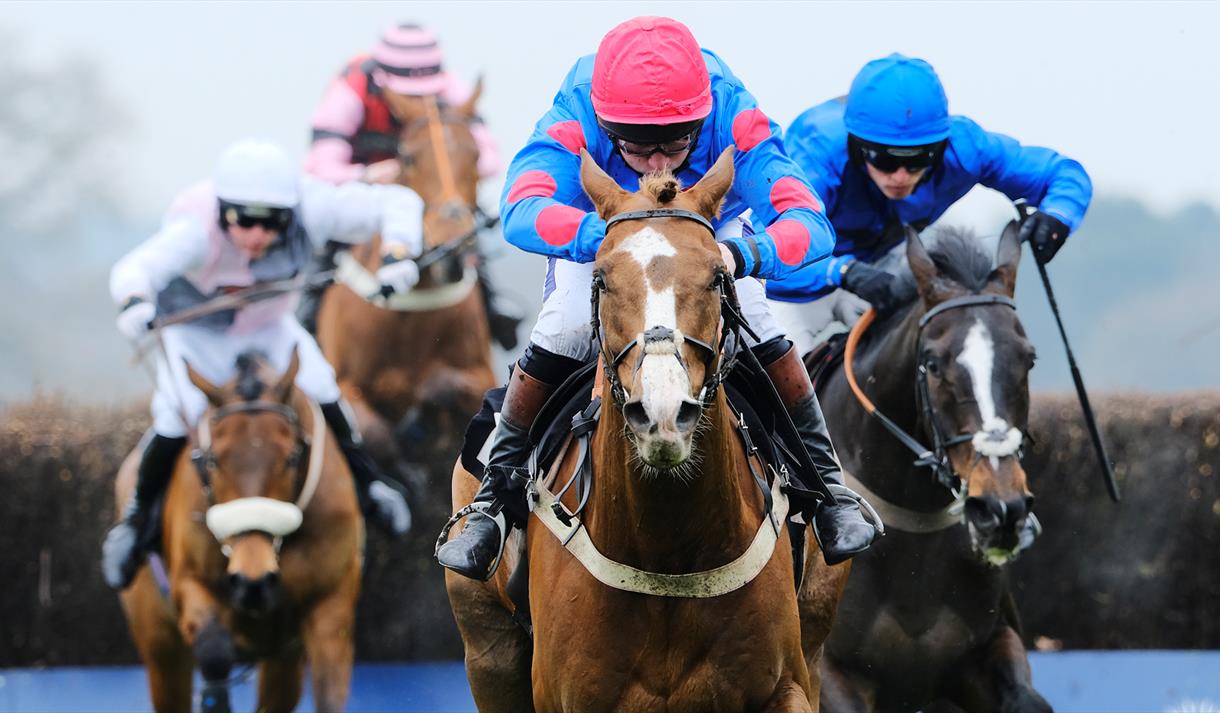 Ascot Racecourse; Jumps