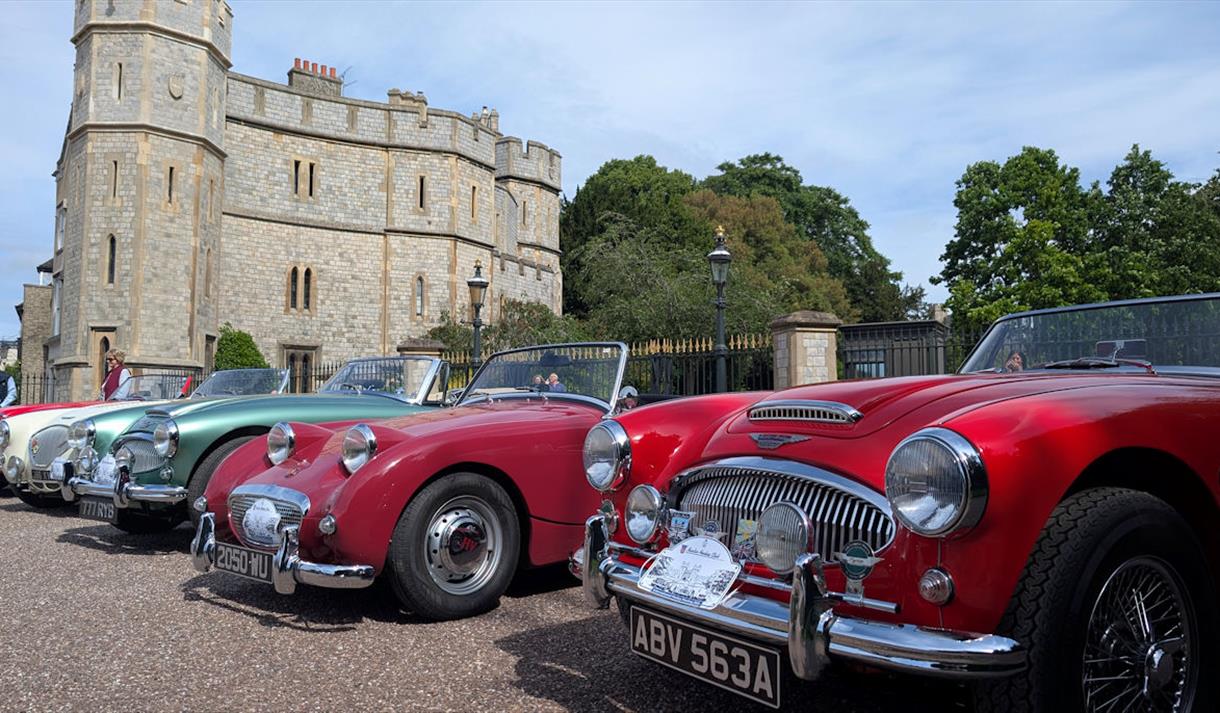 Austin Healey car display