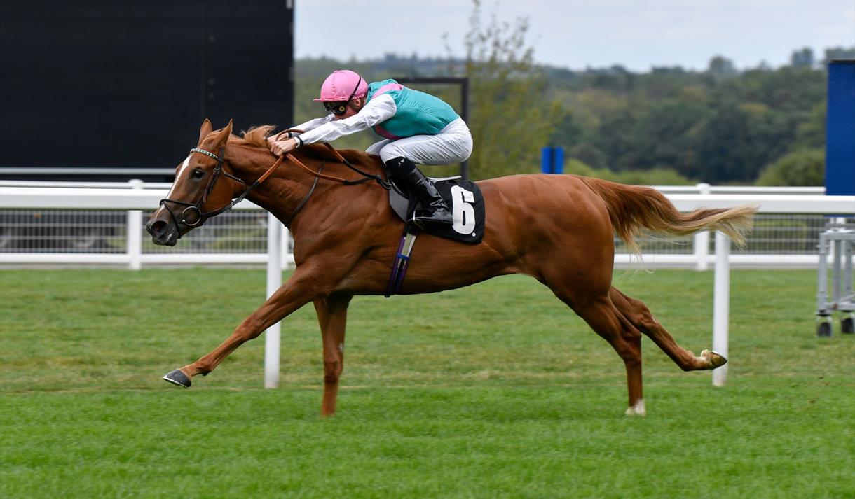 September Racing at Ascot