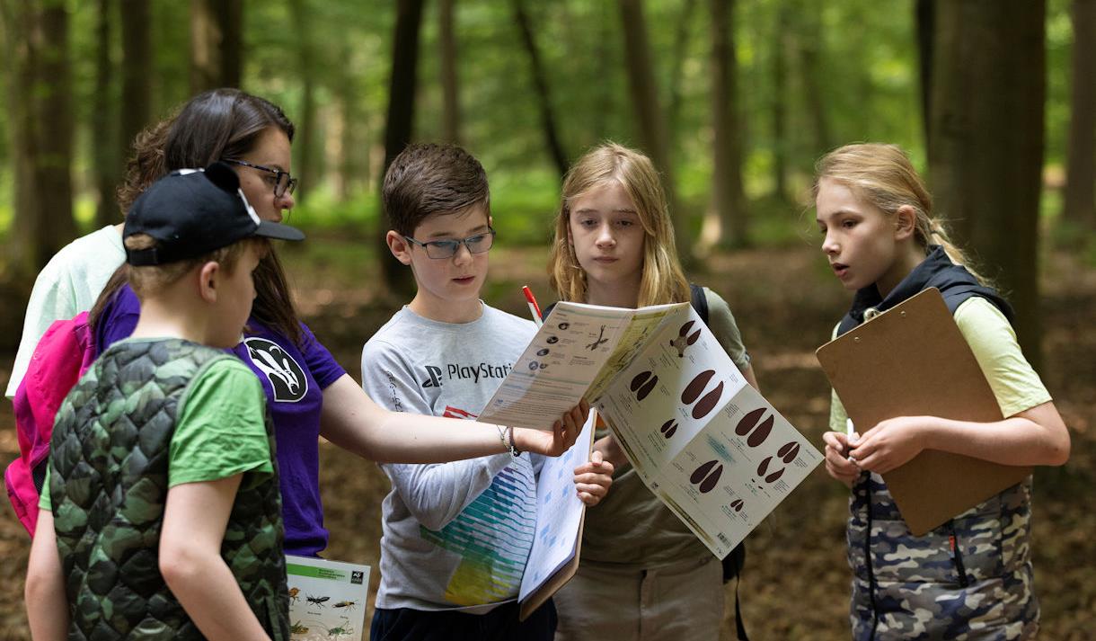 Nature Explorer's Day Camp, image Jon Hawkins