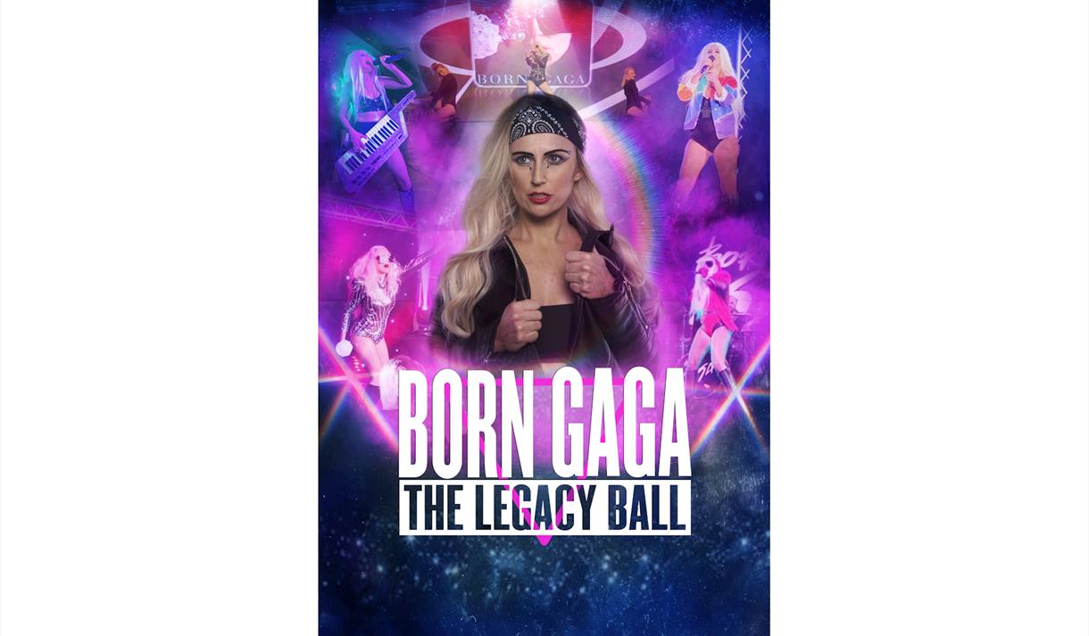 Born Gaga Poster