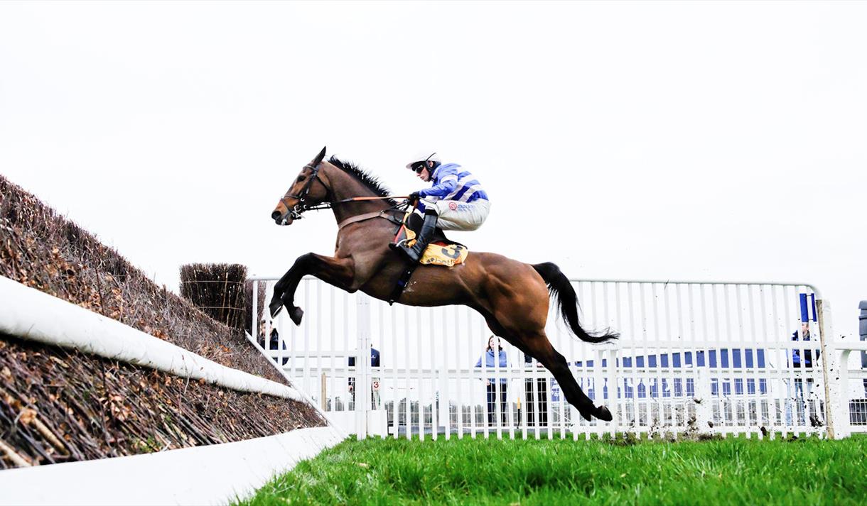 Jumps racing at Ascot Racecourse