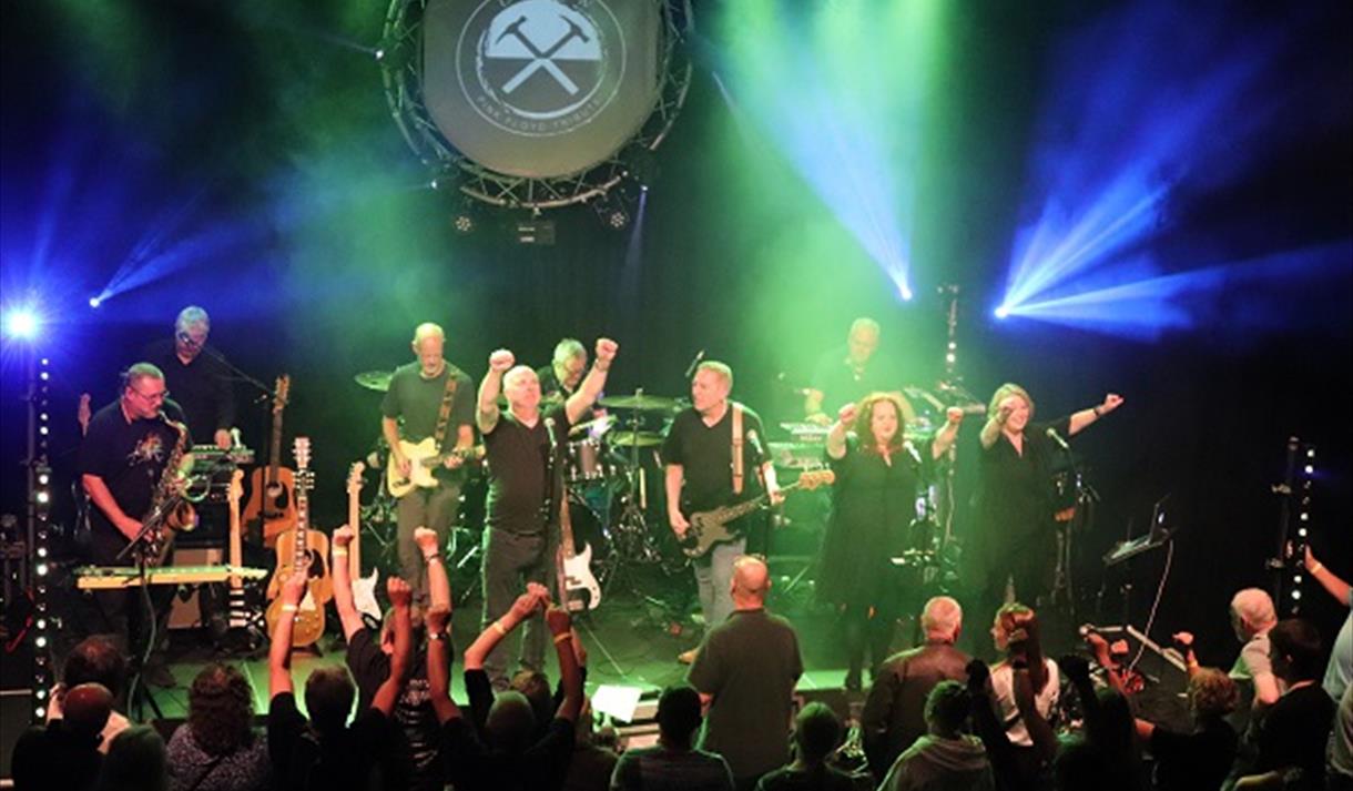 Dark Side of the Wall - band on stage before cheering crowd
