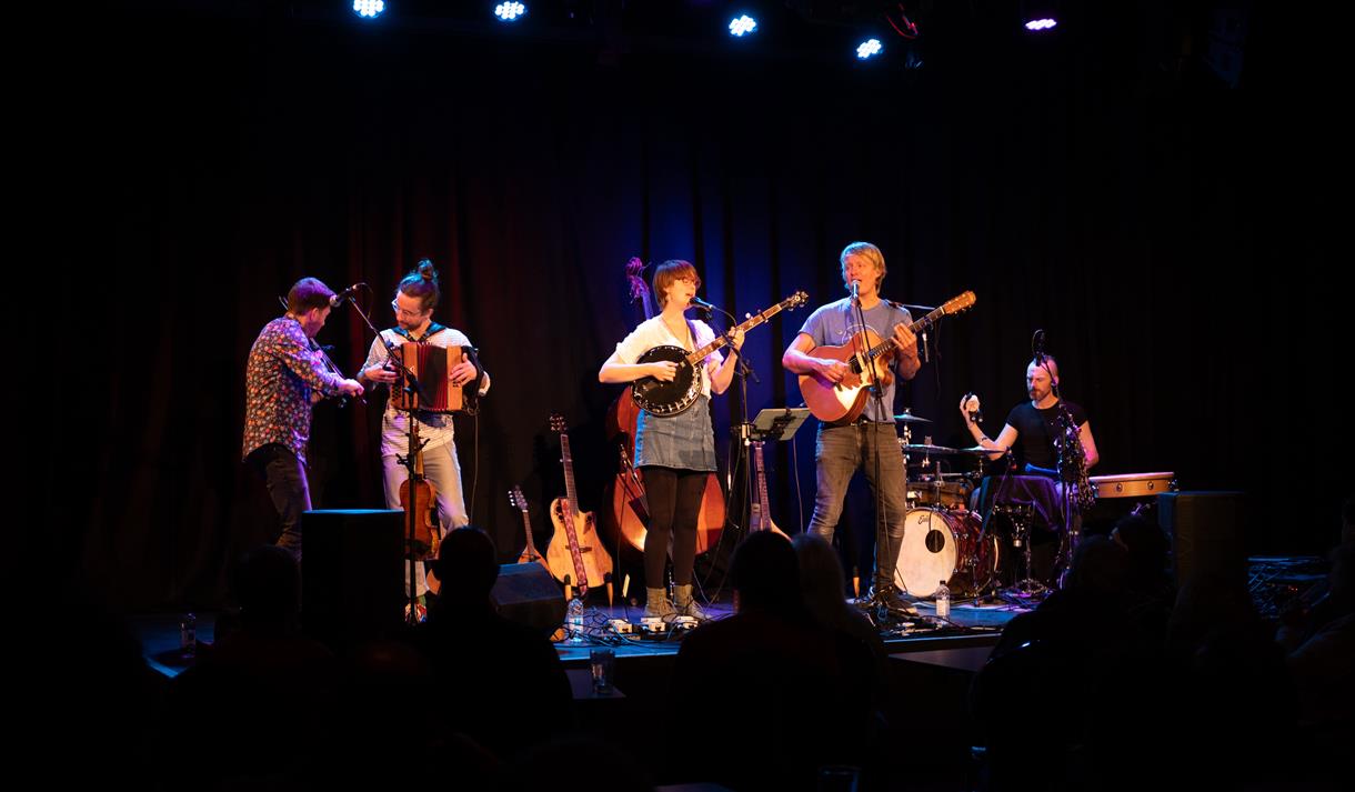 Honey and the Bear - 5 piece on stage