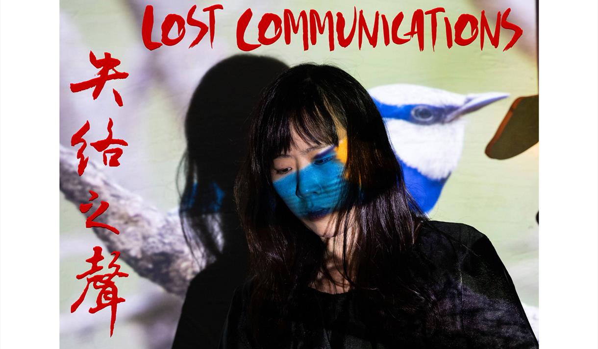 Lost Communications ©Chen-Chou Chang