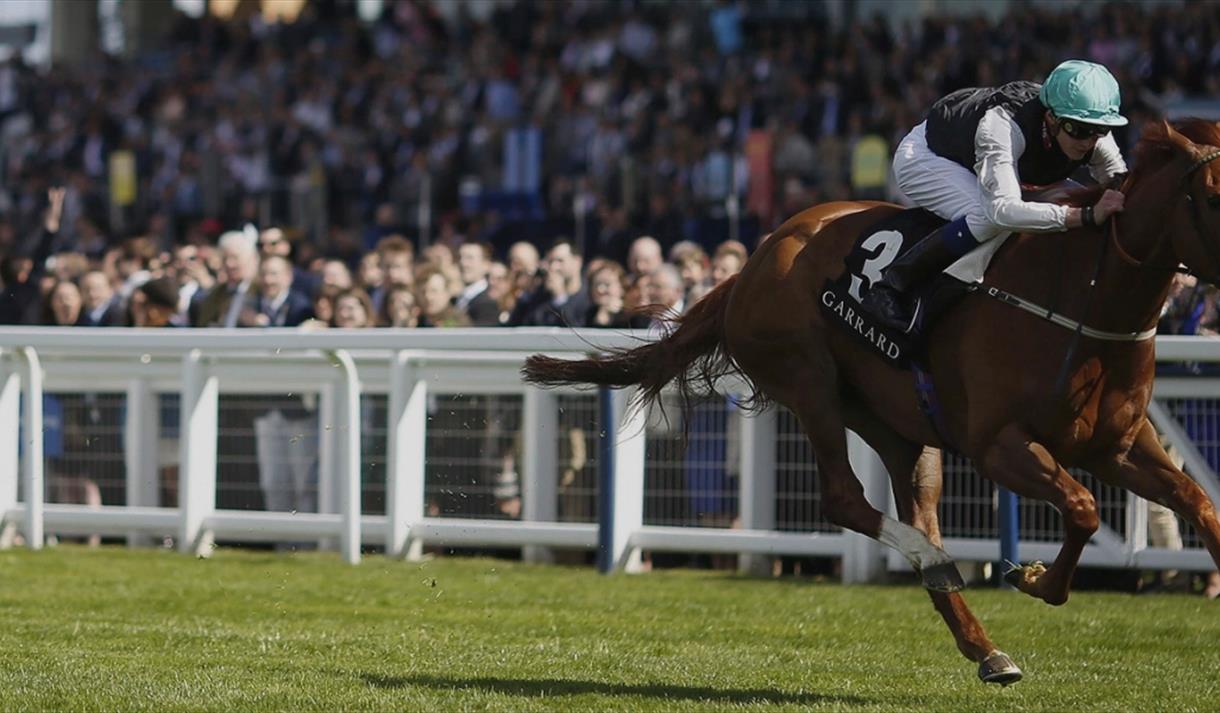 De Beers Diamond Day, Ascot at Newbury