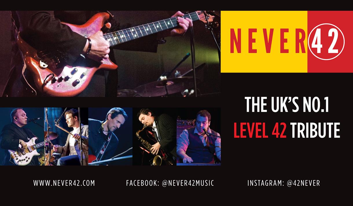 Never 42 graphic