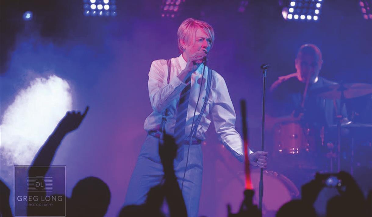 Pop-Up Bowie, image Greg Long Photography