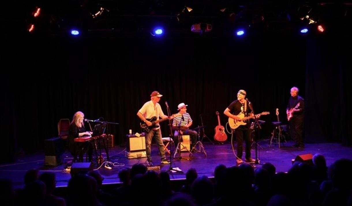 JJ Cale Story - band playing on stage