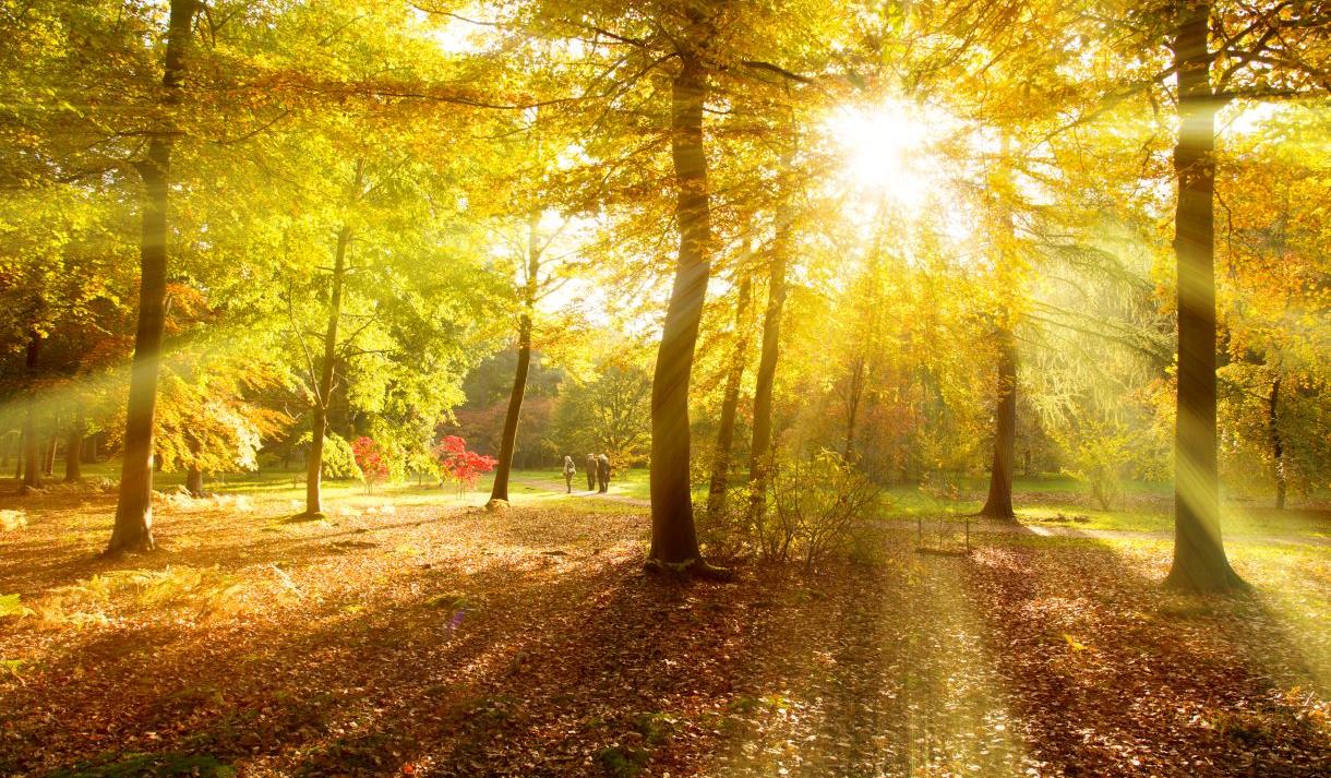 Windsor Great Park Visit Windsor