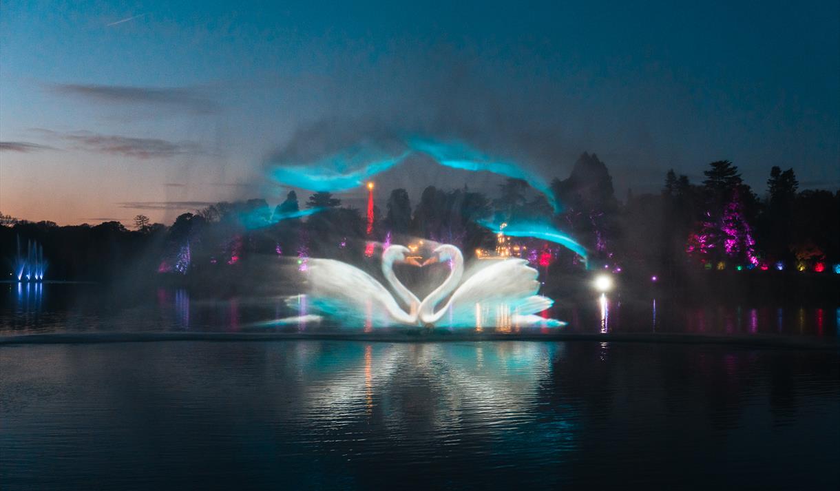 Windsor Great Park Illuminated Visit Windsor