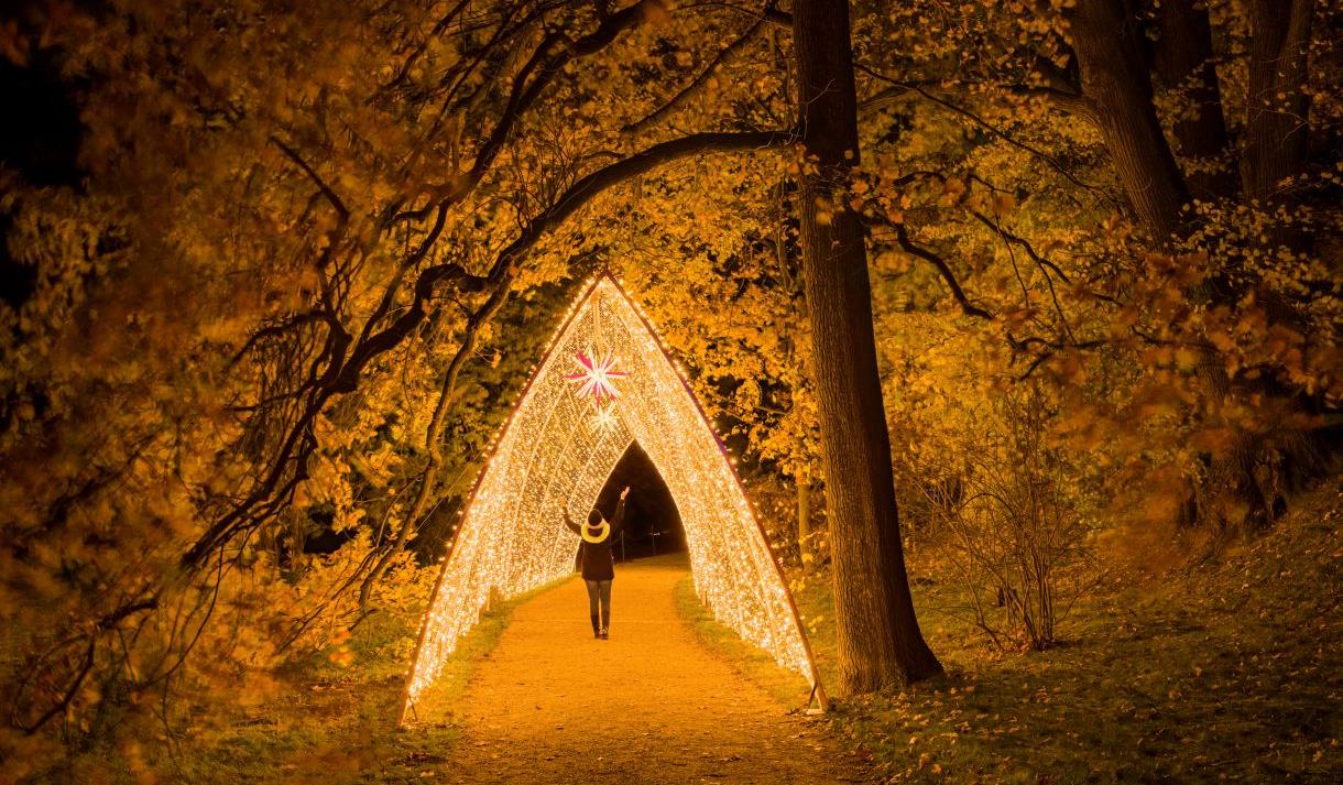 Windsor Great Park Illuminated Visit Windsor