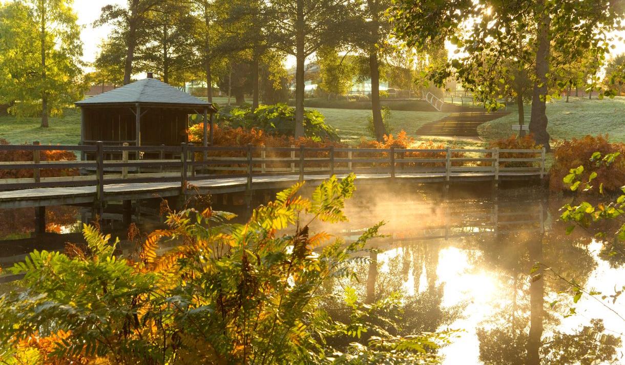 The Savill Garden Visit Windsor