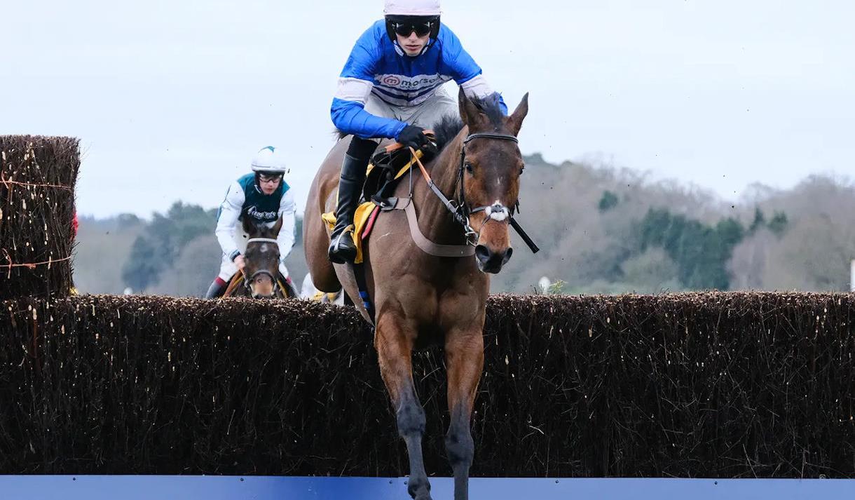 Betfair Ascot Chaseday; horse jumping at Ascot Racecourse