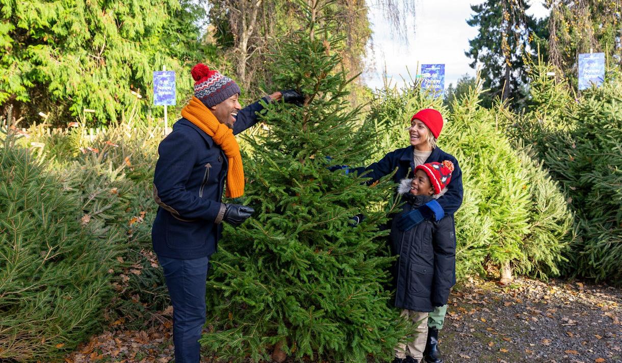 Family selecting a Christmas tree