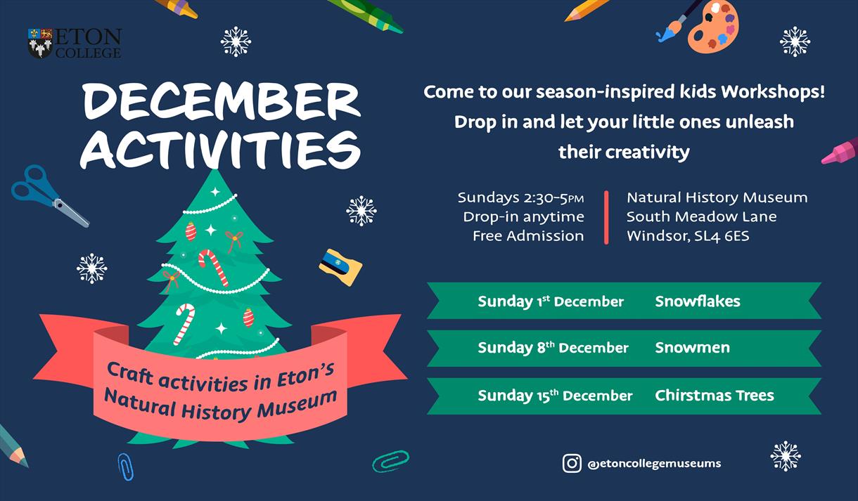 December Activities | Eton Natural History Museum