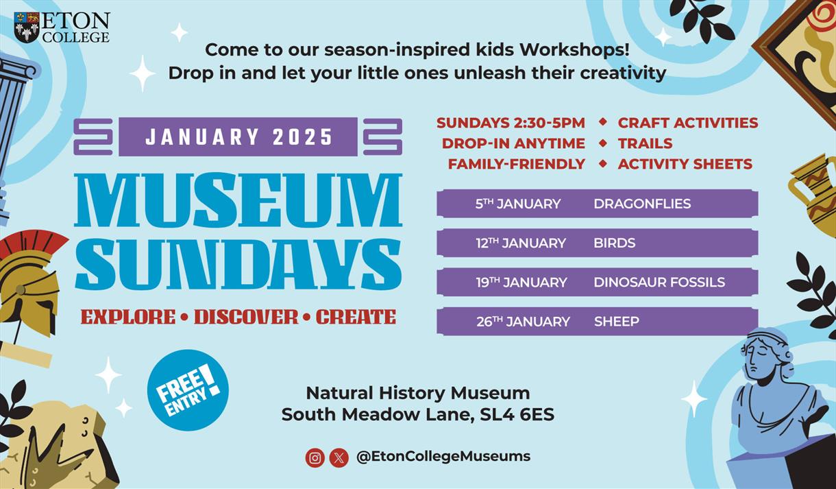 January Activities | Eton Natural History Museum