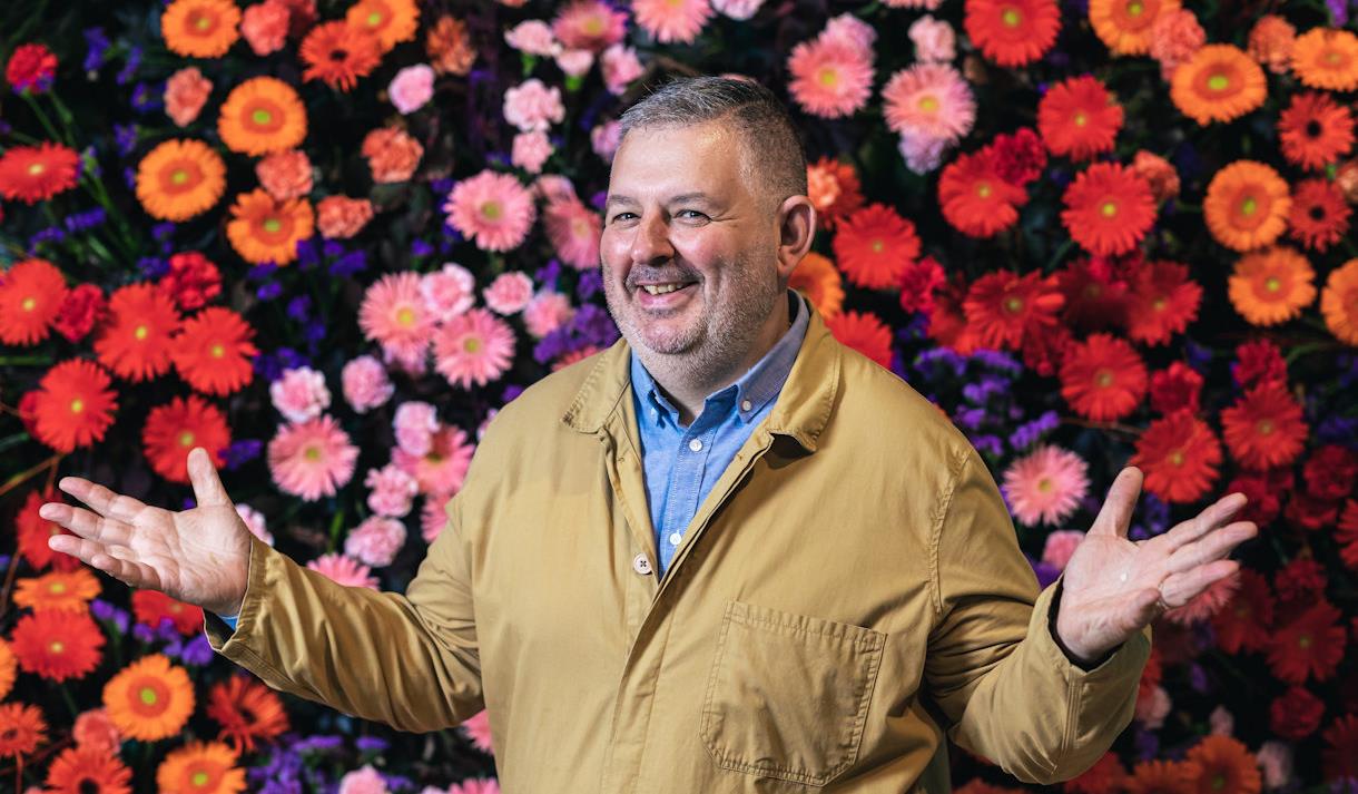 Daisies Flowers Cheadle Hulme Best Flower Site