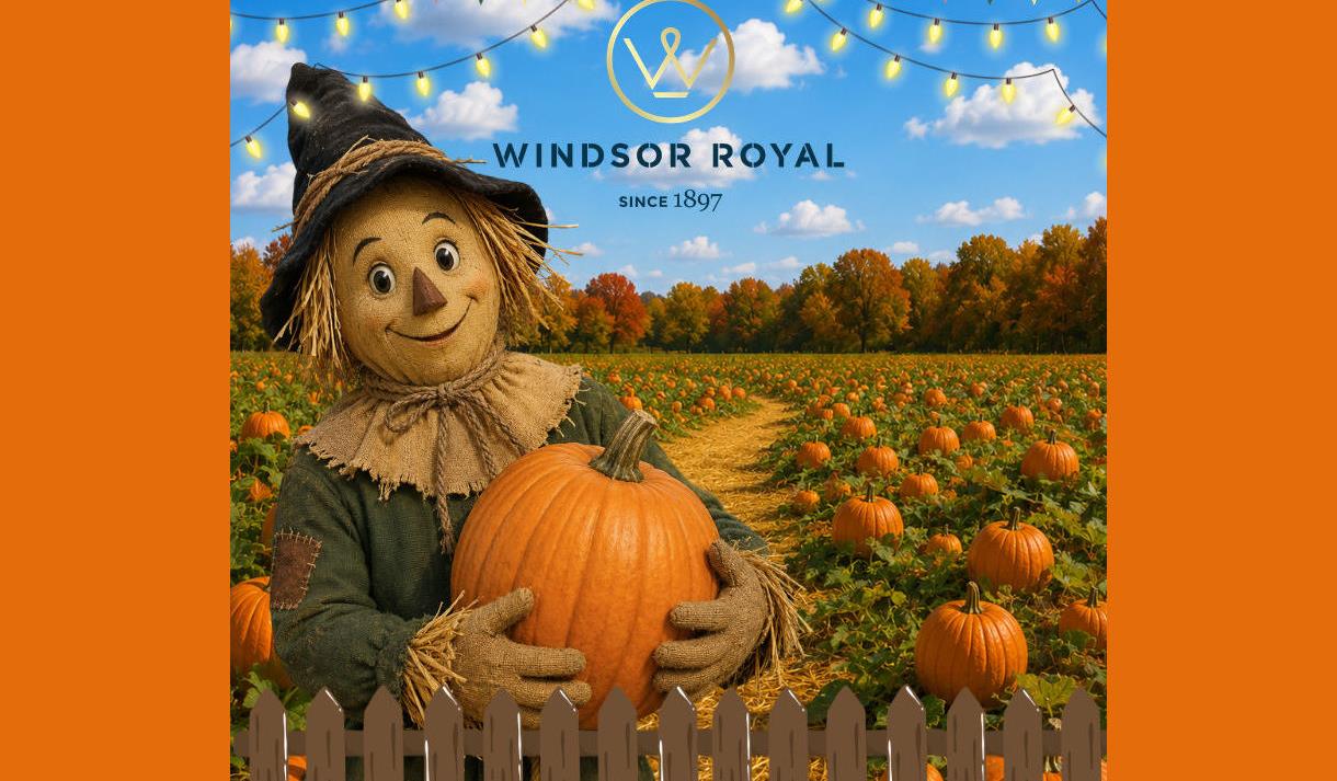 Smiling scarecrow holding a pumpkin in a field full of pumpkins