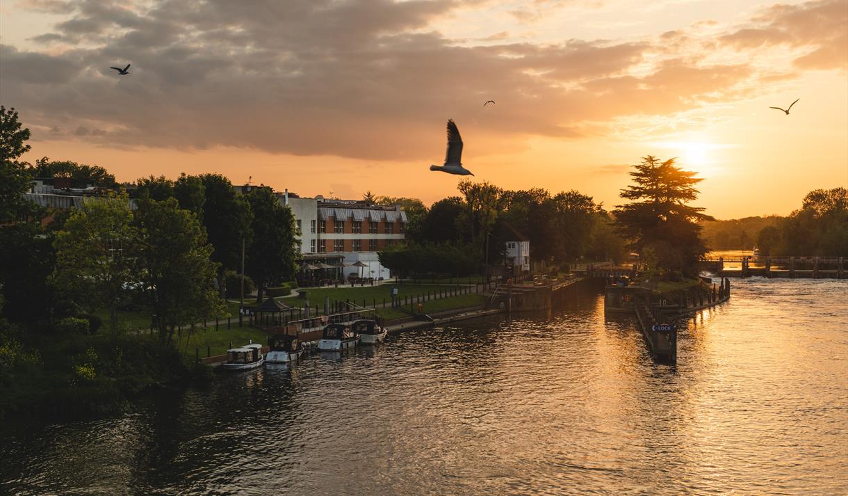 The Runnymede on Thames - riverside