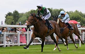 Horses racing down the rails past a crowd