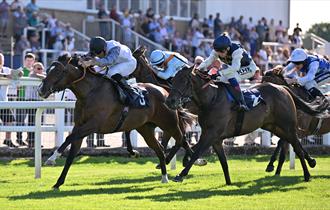 Horses racing past the crowd