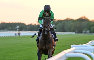 Horse racing by the rail at sunset