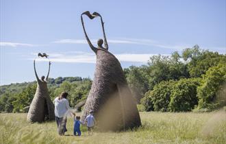 Meadow Wonders - NT - Wicker sculptures