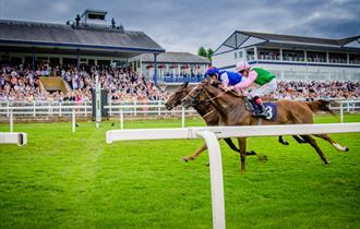 Royal Windsor Racecourse