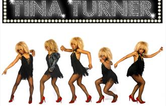 Tina Turner Tribute night