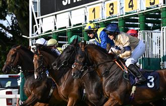 Horses burst out of the starting gate