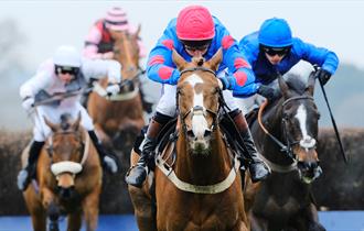 Ascot Racecourse; Jumps