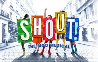 Shout! The Mod Musical