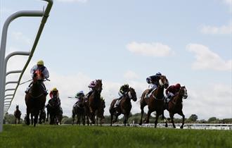 Royal Windsor Racecourse