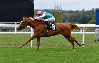 September Racing at Ascot