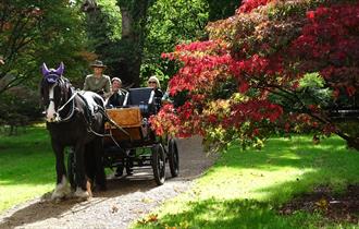 Ascot Carriages in Windsor Great Park