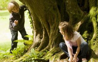 Children playing around tree