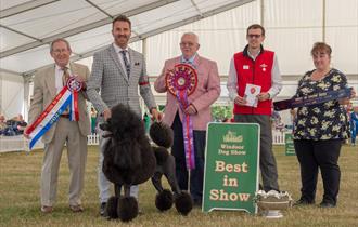 Windsor Championship Dog Show Best in Show. Image courtesy ShowdogMedia: www.showdogmedia.co.uk